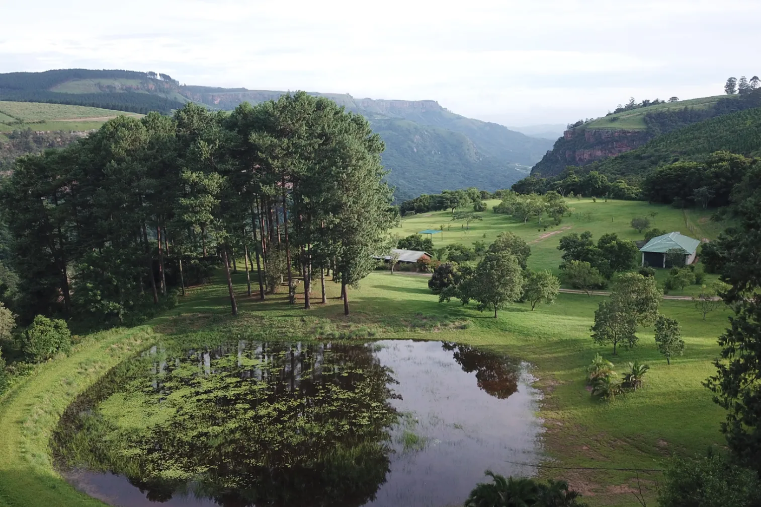 The working farm from above